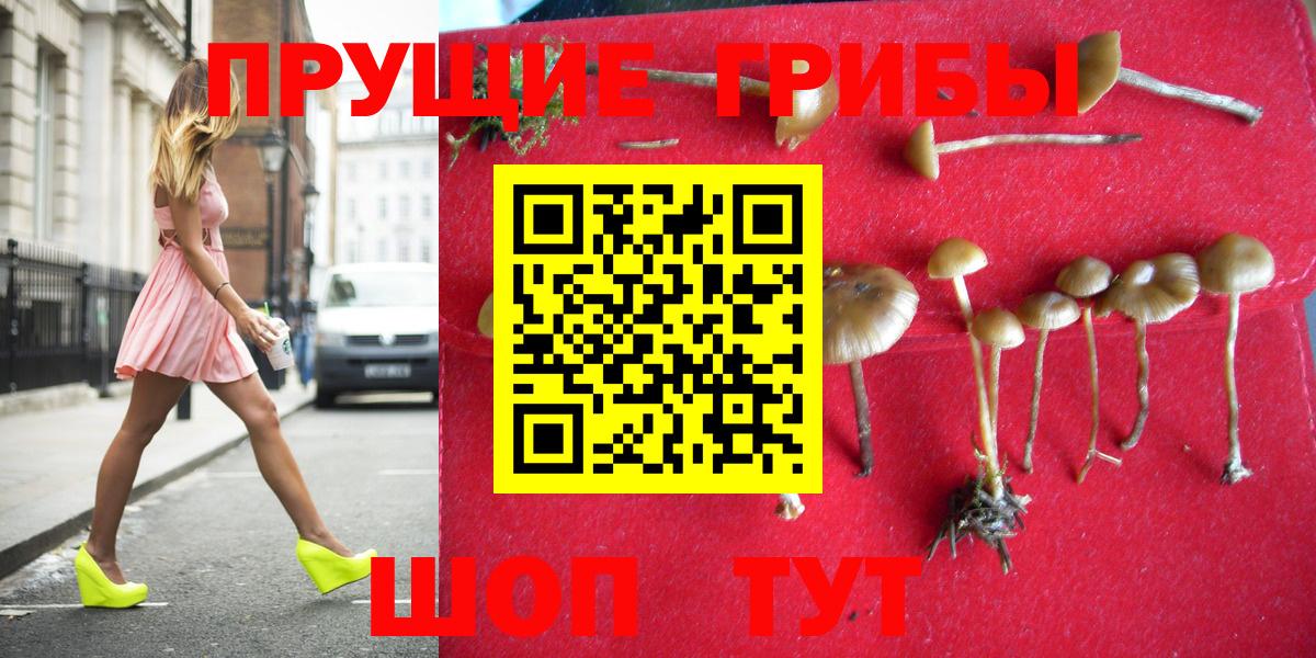 Белорецк  Псилоцибиновые грибы Cubensis  Вход с VPN 
